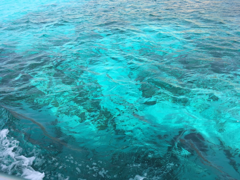 Malta blue lagoon water
